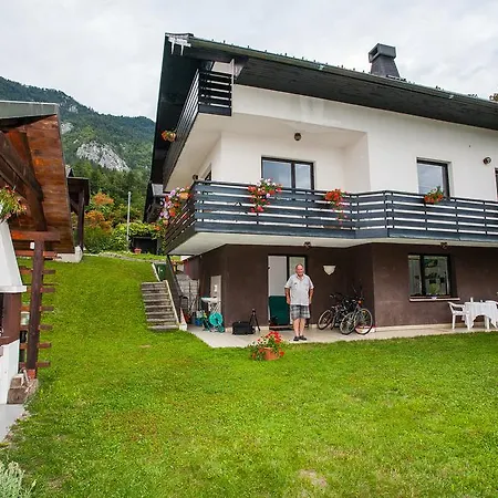 Mountain View * Rodine