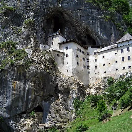 Mountain View * Rodine