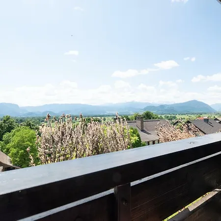 Homestay Mountain View